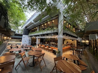 Daily Rituals