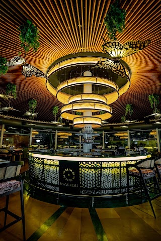 Malibu - Cocktail Bar & Kitchen